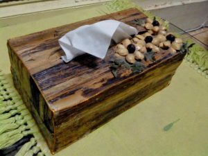kerajinan limbah organik-tempat tisu