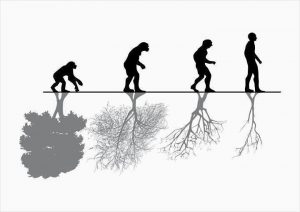 Teori Evolusi Kimia dan Biologi
