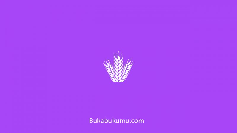 Kerajinan dari Kulit Jagung