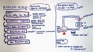 Teori Evolusi Kimia dan Biologi