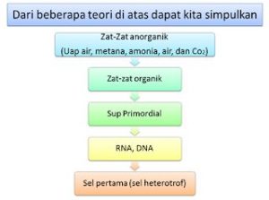 Teori Evolusi Kimia