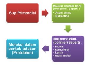 Teori Evolusi Kimia
