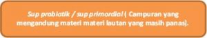Teori Evolusi Kimia